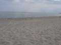 IMG-20210626-WA0007